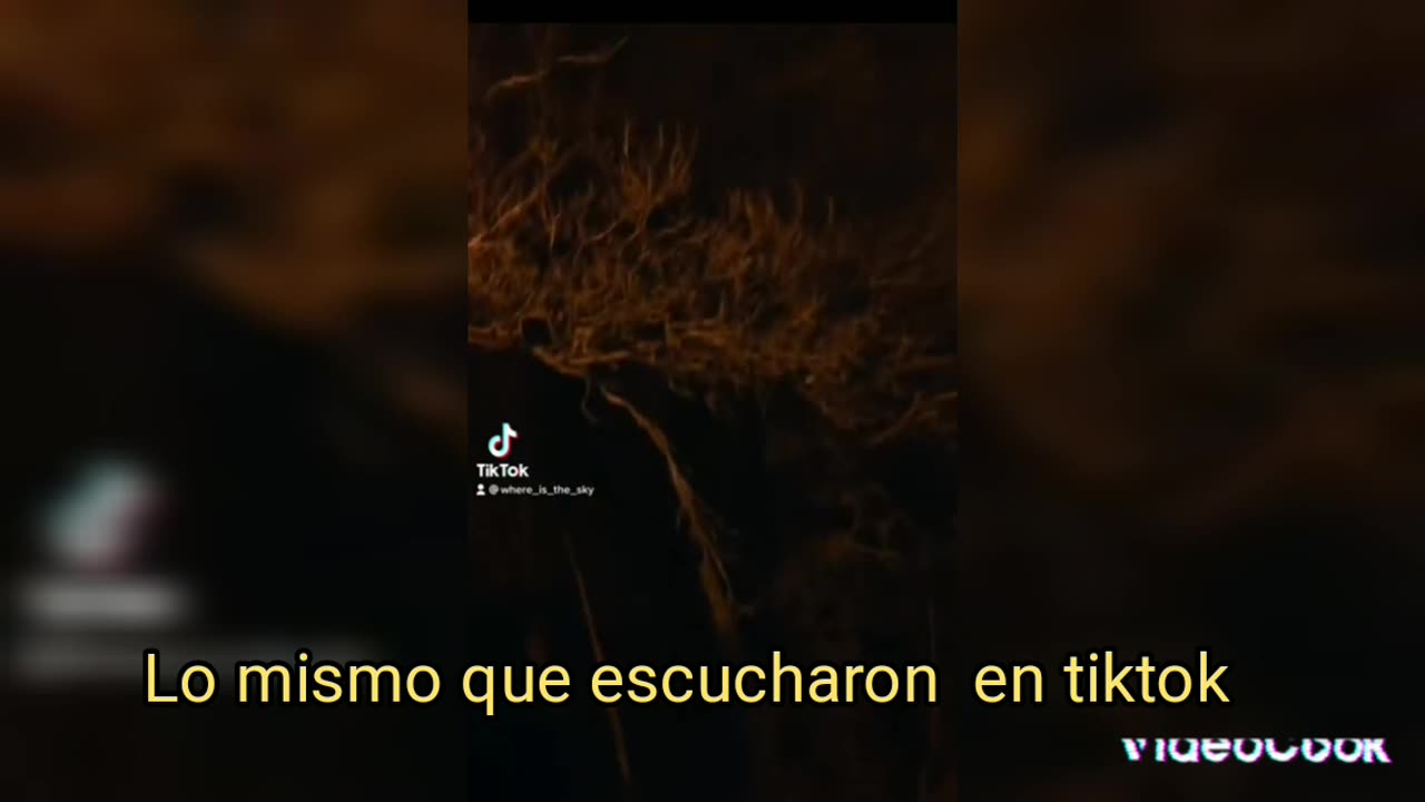 Lo que se viene mostrado tiktokfuturo