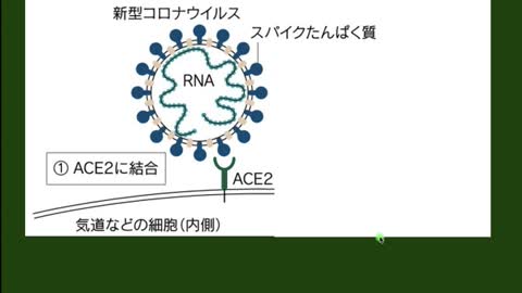 いきいき健康チャンネル『子供ののワクチン接種』