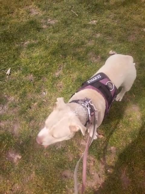 🧡💛💚c'est george lucas bien sur.... #LucasMuseumofNarrativeArt #starwars #spaceship