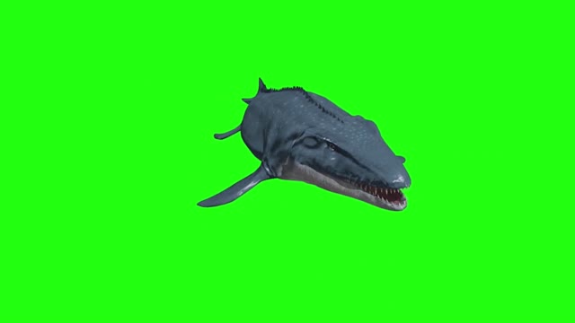 green screen keying large fish swimming animals present synthetic deformity