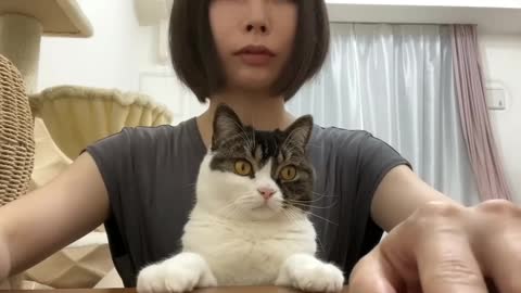 When the kitten and I face the camera together, the kitten turns into a well-behaved baby