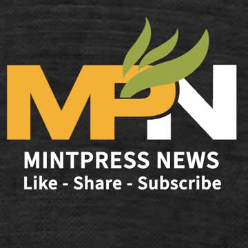 The Hill and the arms manufacturer Elbit Systems are connected by a common shareholder