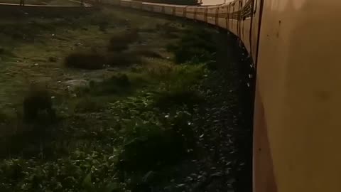 The nature 🙂