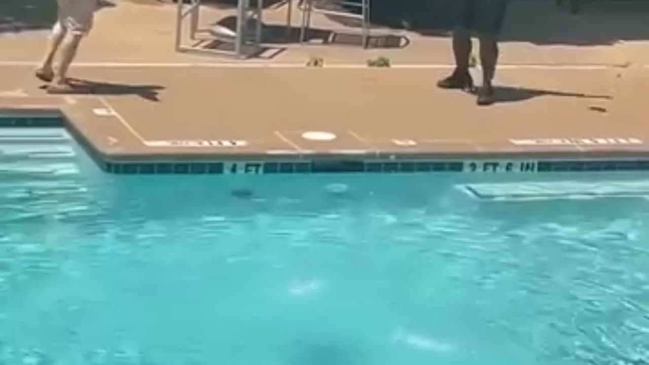 So funny 🤣 video