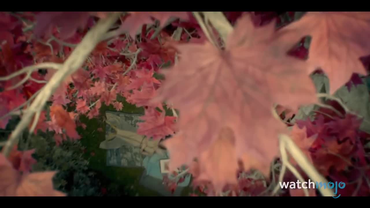 Top 10 Things You Missed In House Of The Dragon Episode 1