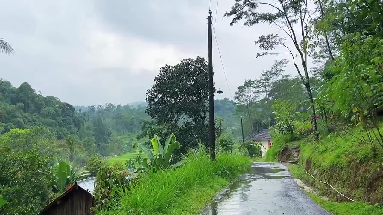 Heavy Rain in Indonesian countryside__a beautiful and fertile countryside