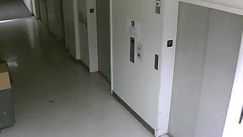 3904PSQB06FreightLobbyRear_2021-01-05_23h20min02s107ms.mp4