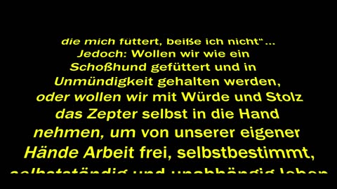 KILLERTON - Auf die Strasse (Musikvideo)