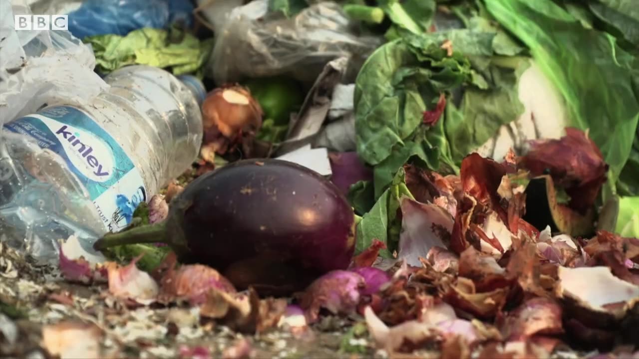 Earthshot prize winner aims to tackle food waste in india