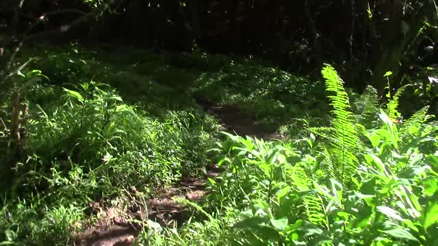 THE FOUNTAIN OF YOUTH ~ HOW TO LIVE FOREVER - June 12th 2015