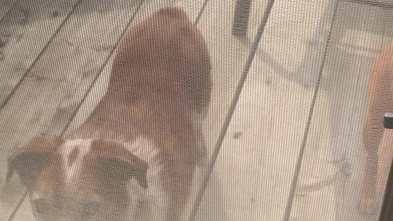 2 visitors