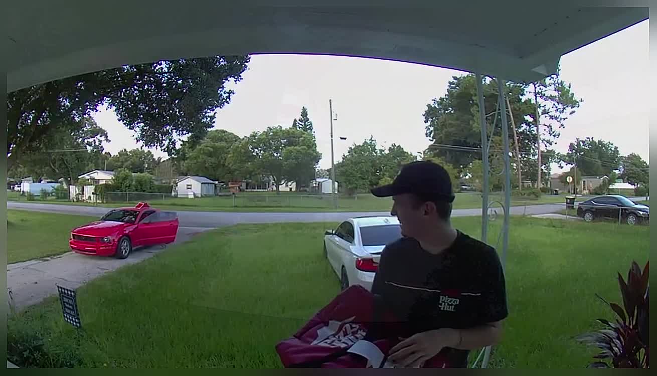 Dog Gets in Pizza Delivery Driver's Car