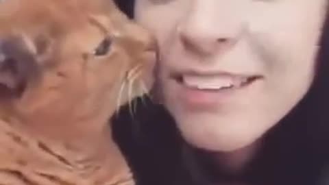 Cat kiss the girl