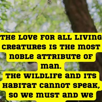 The wildlife and its habitat cannot speak, so we must and we will.