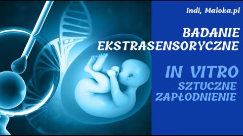 BADANIE EKSTRASENSORYCZNE: In Vitro - Sztuczne Zapłodnienie (Indi, Maloka.pl)