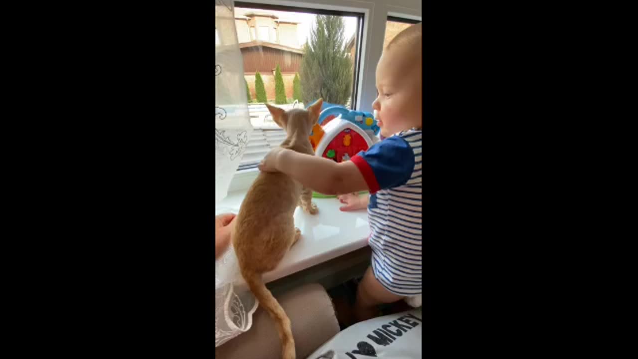 2023 NEW VIRAL VIDEO YOU'LL MISS OUT IF YOU DON'T SEE WHAT THE KID IS DOING WITH THE CAT 😺