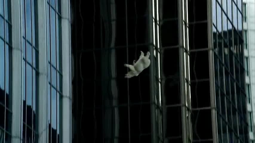 Climate Alarmists Bank on Your NOT Being Around For Failed Predictions