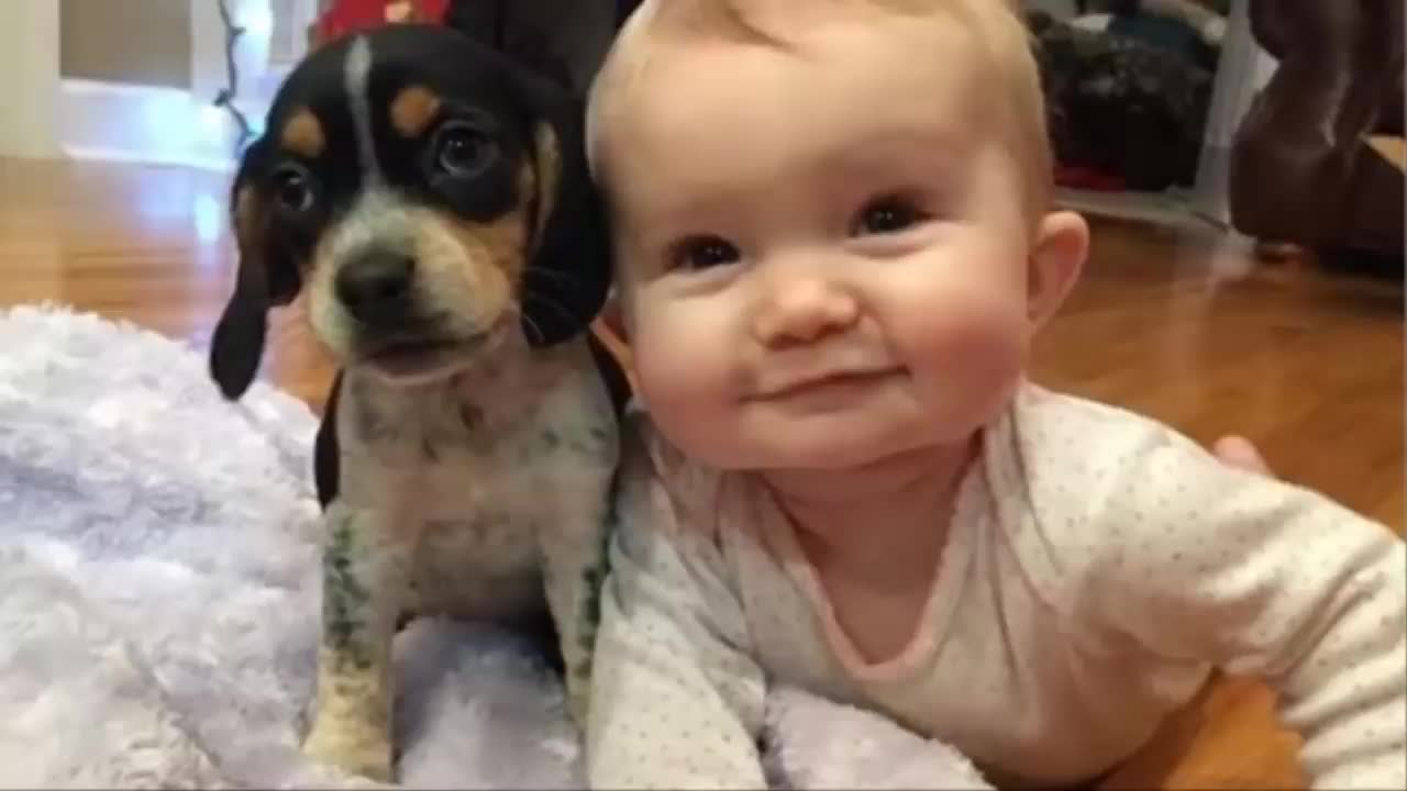 Cute Puppies and Babies Playing Together Compilation