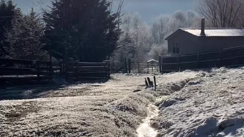 Winter wonderland