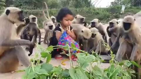 monkey love to cute human baby.