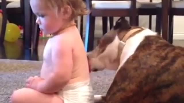 little boy playing with his favorite dog