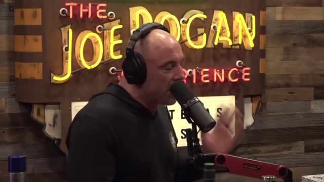 Mark Normand Tells Joe Rogan That Fear Factor SUCKED w- Shane Gillis and Ari Shaffir