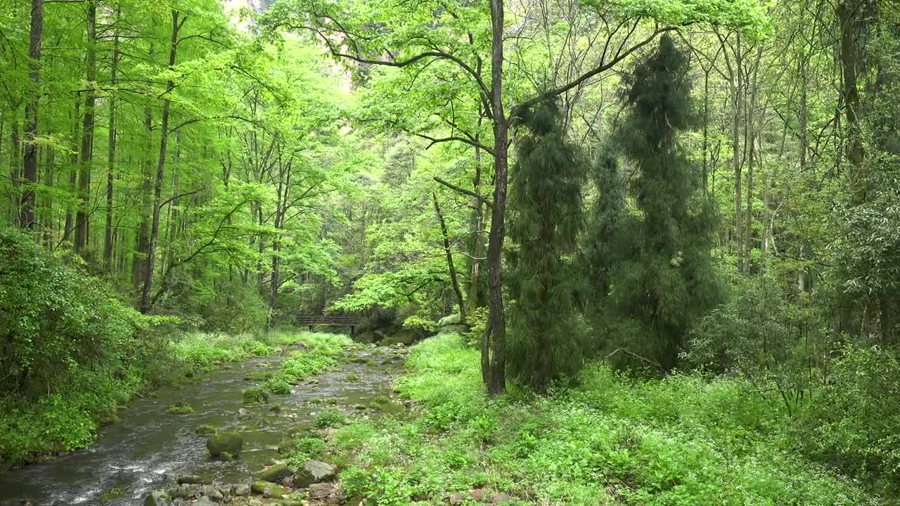 "Avatar" Mountain & Wulingyuan Scenic Area