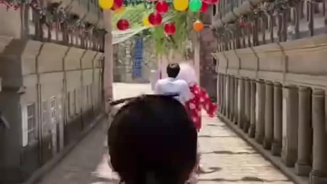 Chinese Woman in Red Dress Dodging Bat (Full Video)