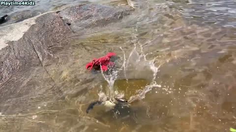 Sea Animal Toys This Summer at the Shore