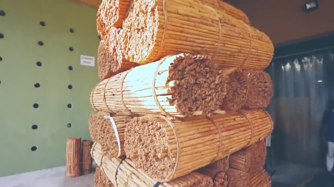 Cinnamon Making Process | Modern Ceylon Cinnamon Harvesting | How Ceylon Cinnamon Is Made