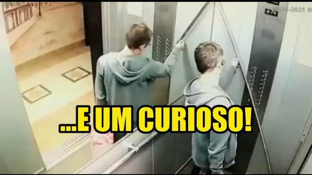 2 IDI0TAS E 1 CURIOSO...