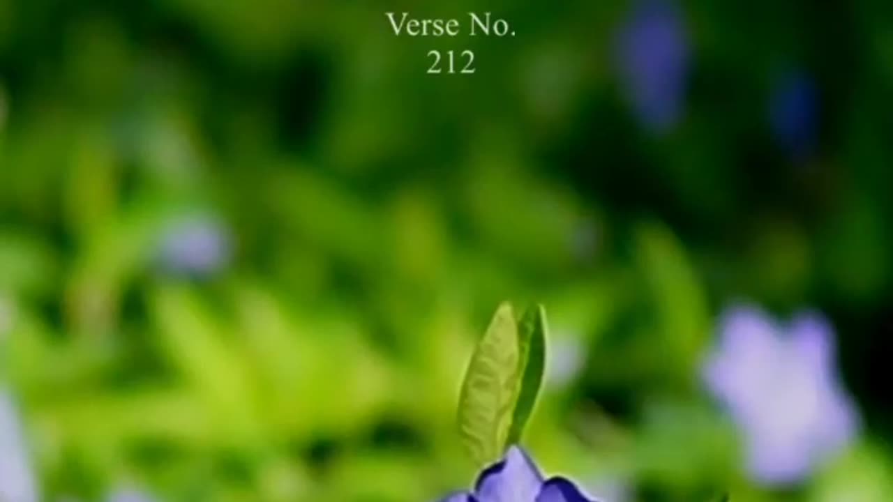 Surat al Bakara quran urdu translation whatsapp status #shorts #ytshorts