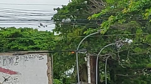 Boeing 737 MAX 8 PS-GPK vindo de Manaus para Fortaleza