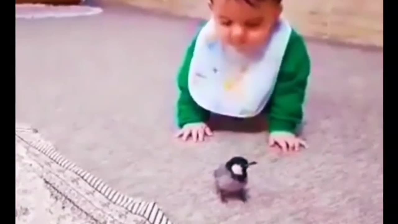 Funny Baby