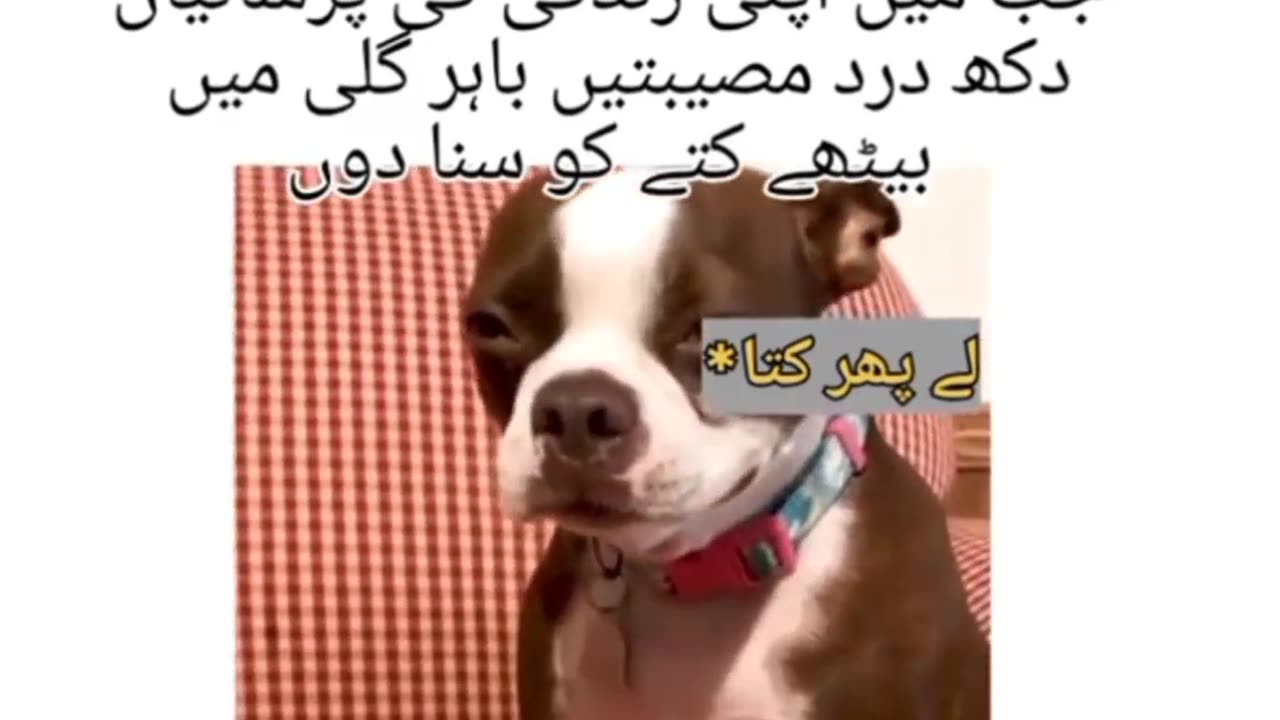 Random videos part 14
