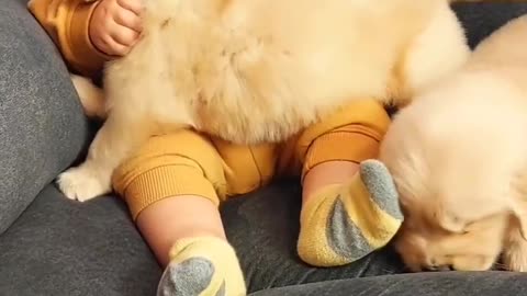 Cute Baby With Cute Puppy 😍👶🐶