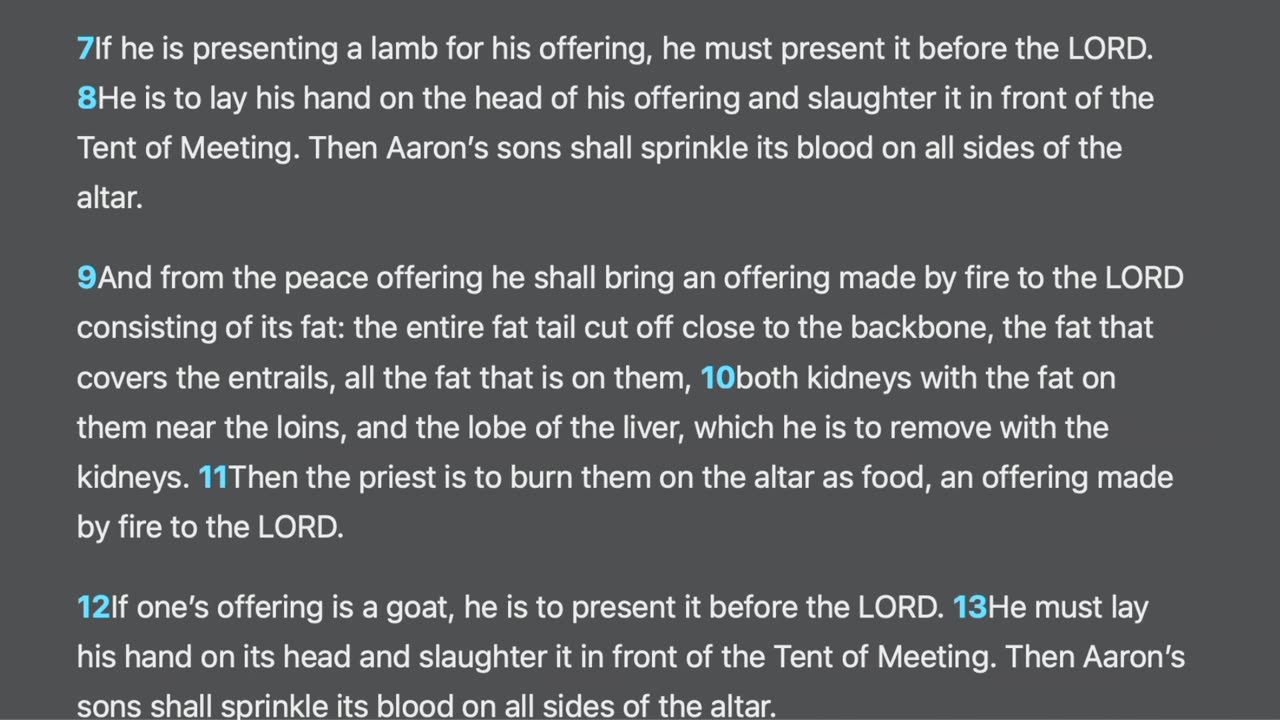 Leviticus 2-3