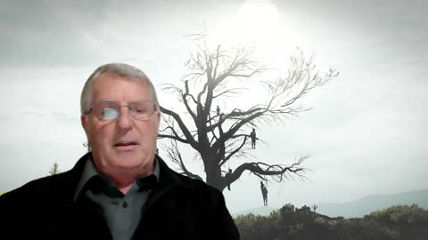 The Right Tree