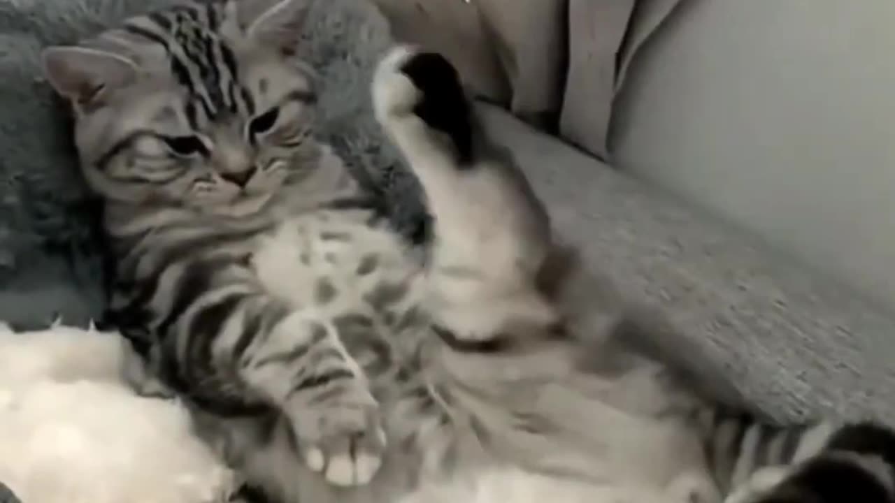 Very funny video