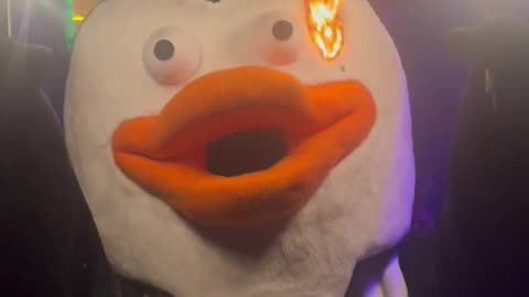 Nightclub Penguin Catches Fire