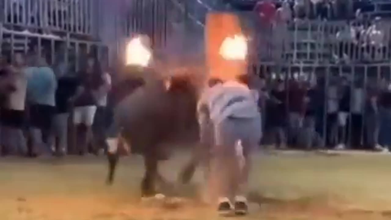 Helping A Bull With Horns On Fire