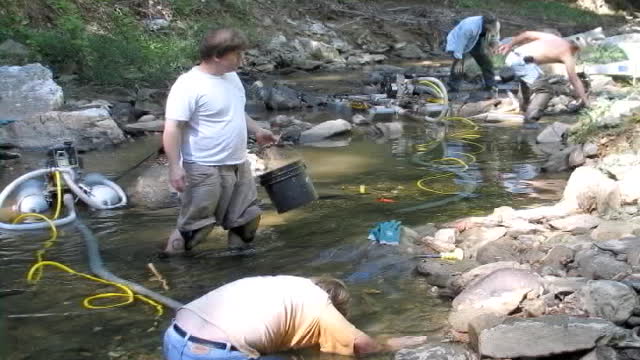 VA Gold On the Creek The Creek with Big Gold in it Sept 2007