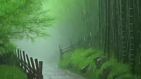 Beauty of Nature