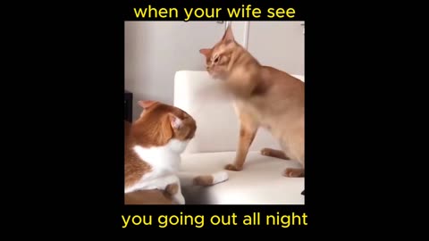 when your wife sees you going out all night