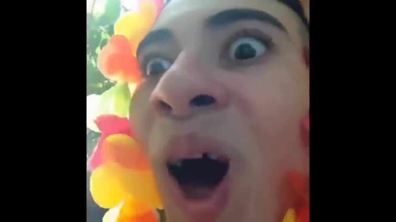 Memes legendary Try not To Laugh or die Part 2 😂😂😂