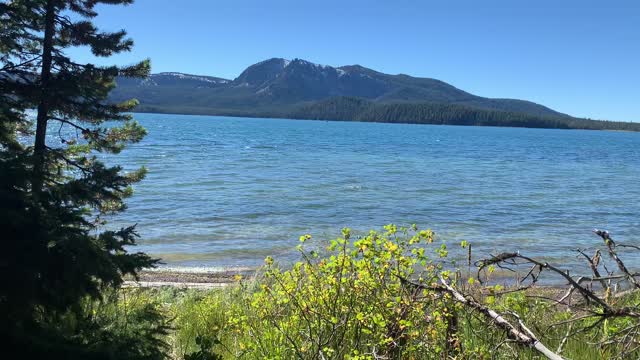 Central Oregon – Paulina Lake “Grand Loop” – Trailside Perspective