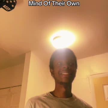 When People Say Their Cat Won’t Scratch But They Have Nails And A Mind Of Their Own