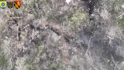Shelling Russian Trenches