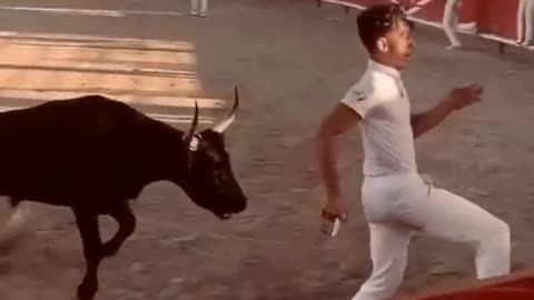 BULL ATTACK