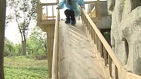 Cute pandas playing on the slide